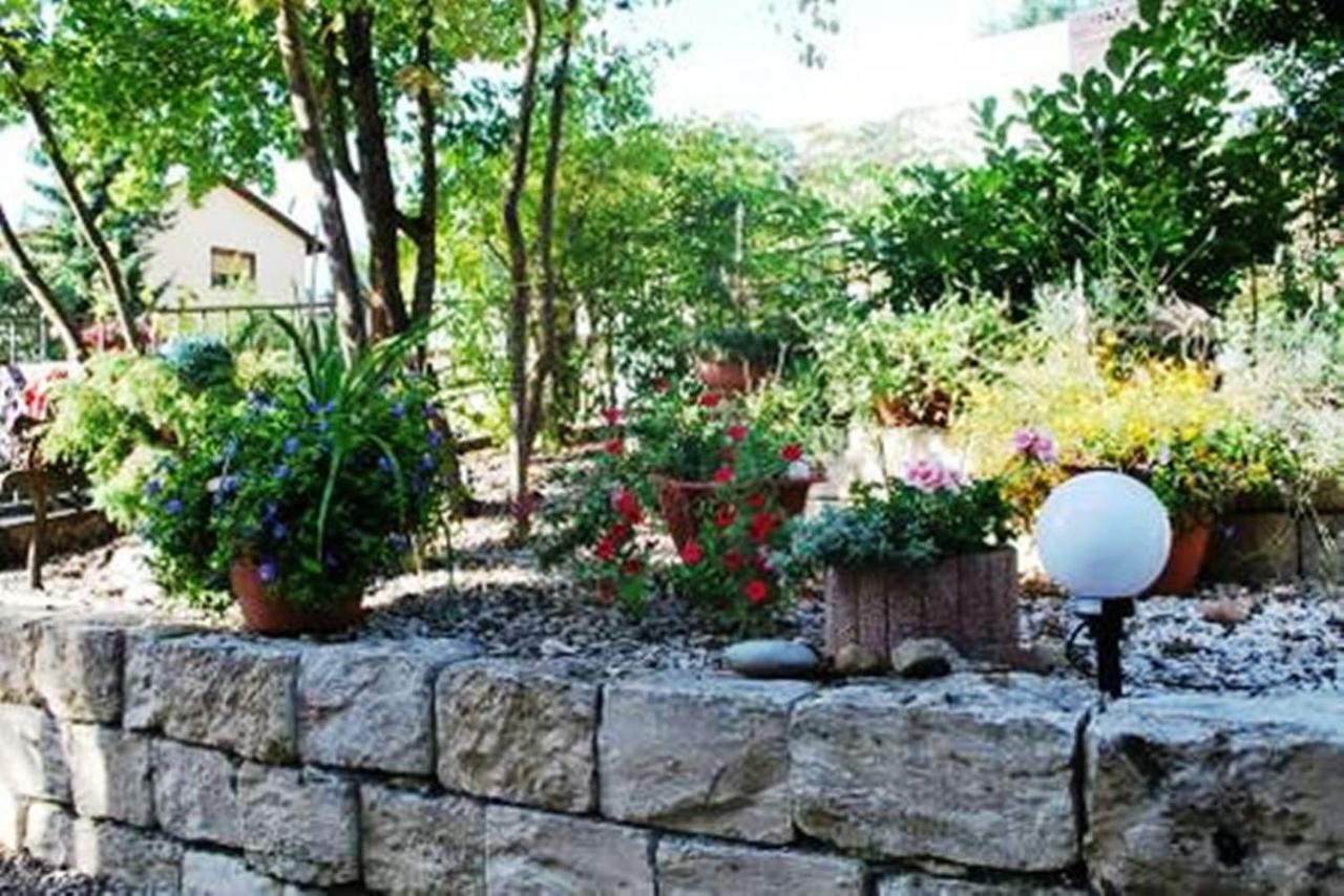 Appartement Held - Natur Vor Den Toren Nurnbergs Mimberg Esterno foto